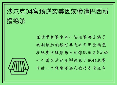 沙尔克04客场逆袭美因茨惨遭巴西新援绝杀